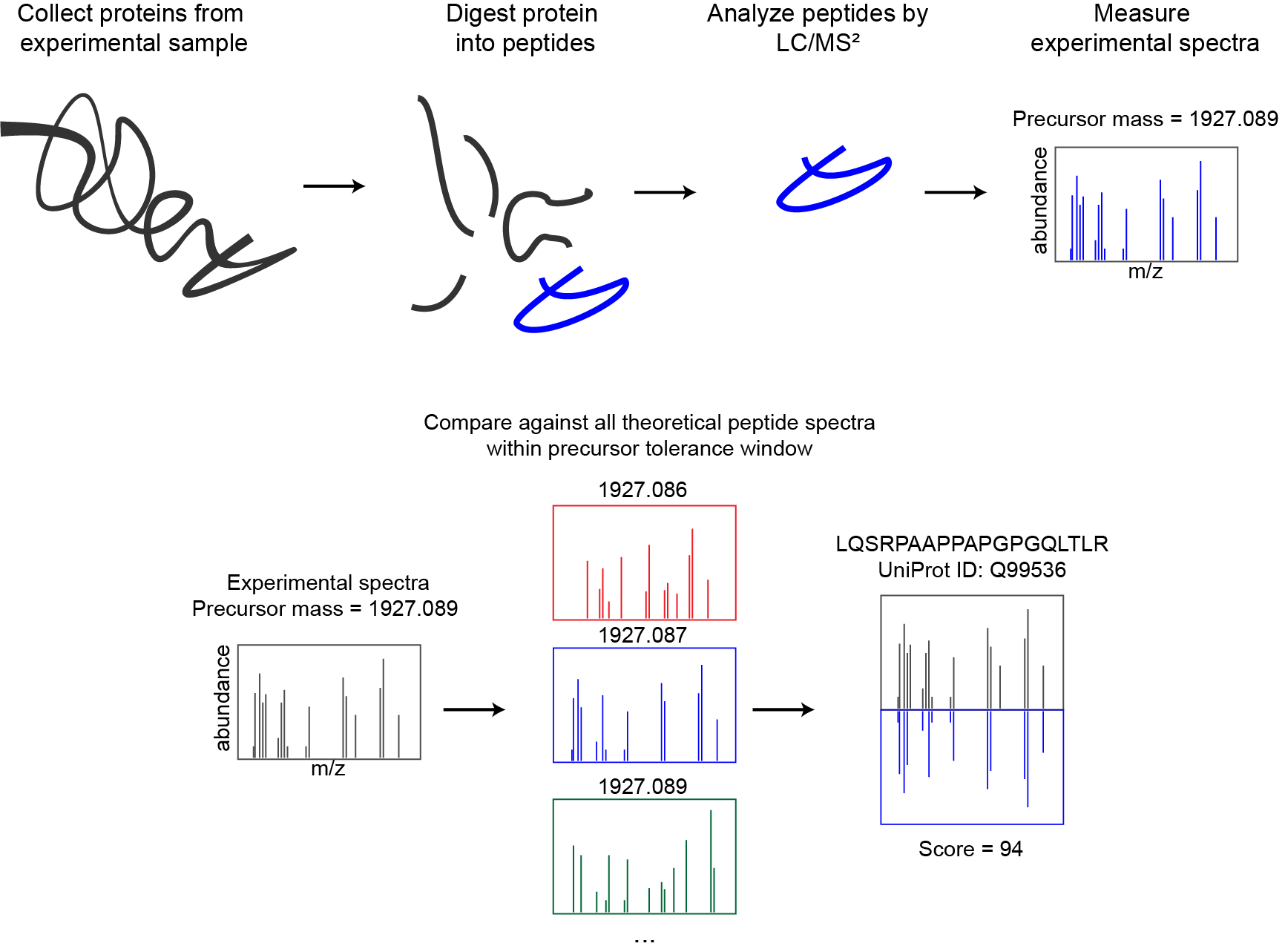 Cartoon schematic of a typical proteomics workflow